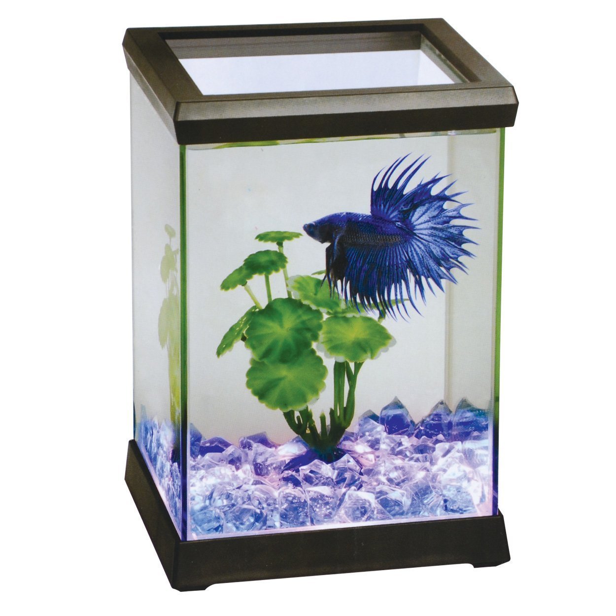 Betta Glass tank Nano