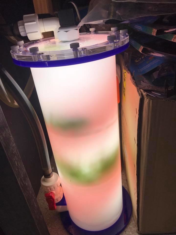 Refugium reactor 180
