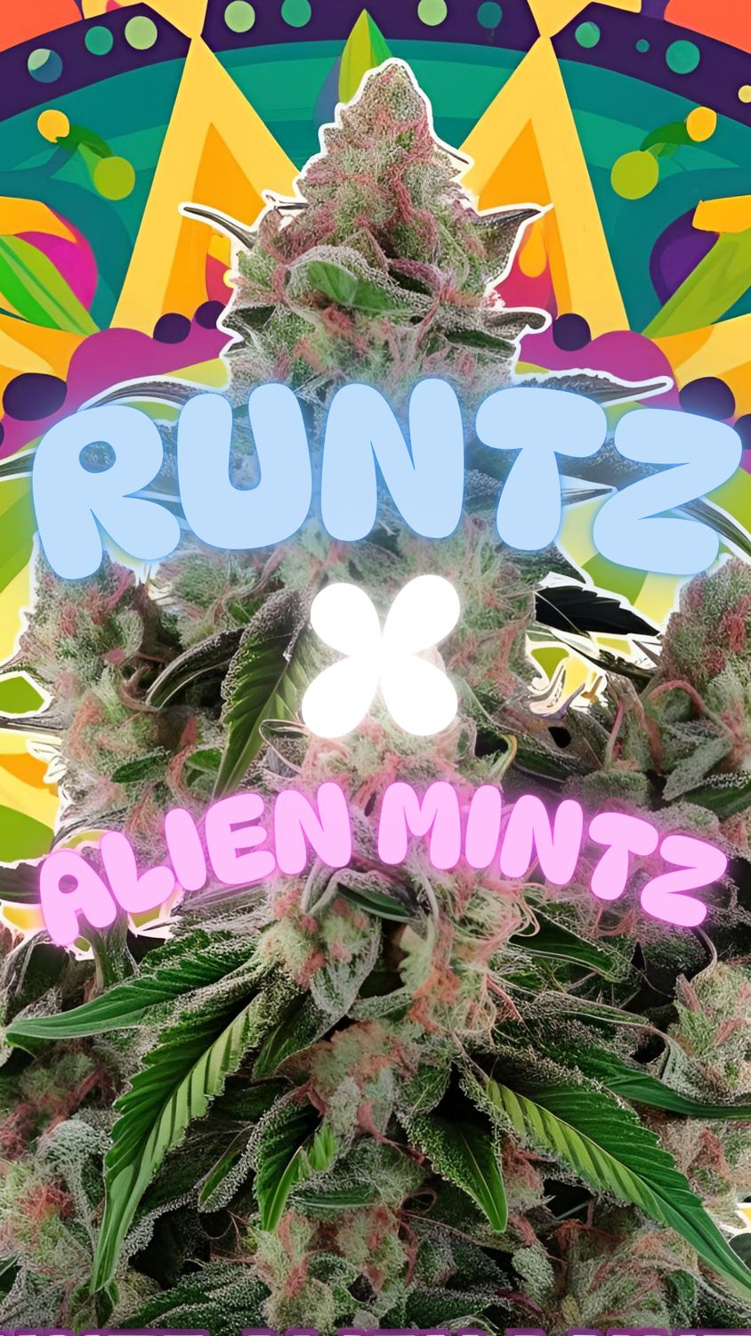 Runtz X Alien Mintz | Silver | indica/hybrid