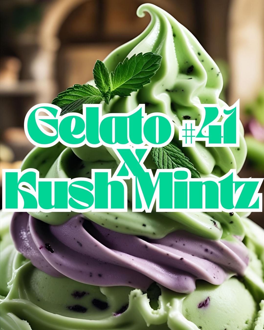 Gelato #41 x Kush mintz | Silver | Hybrid |