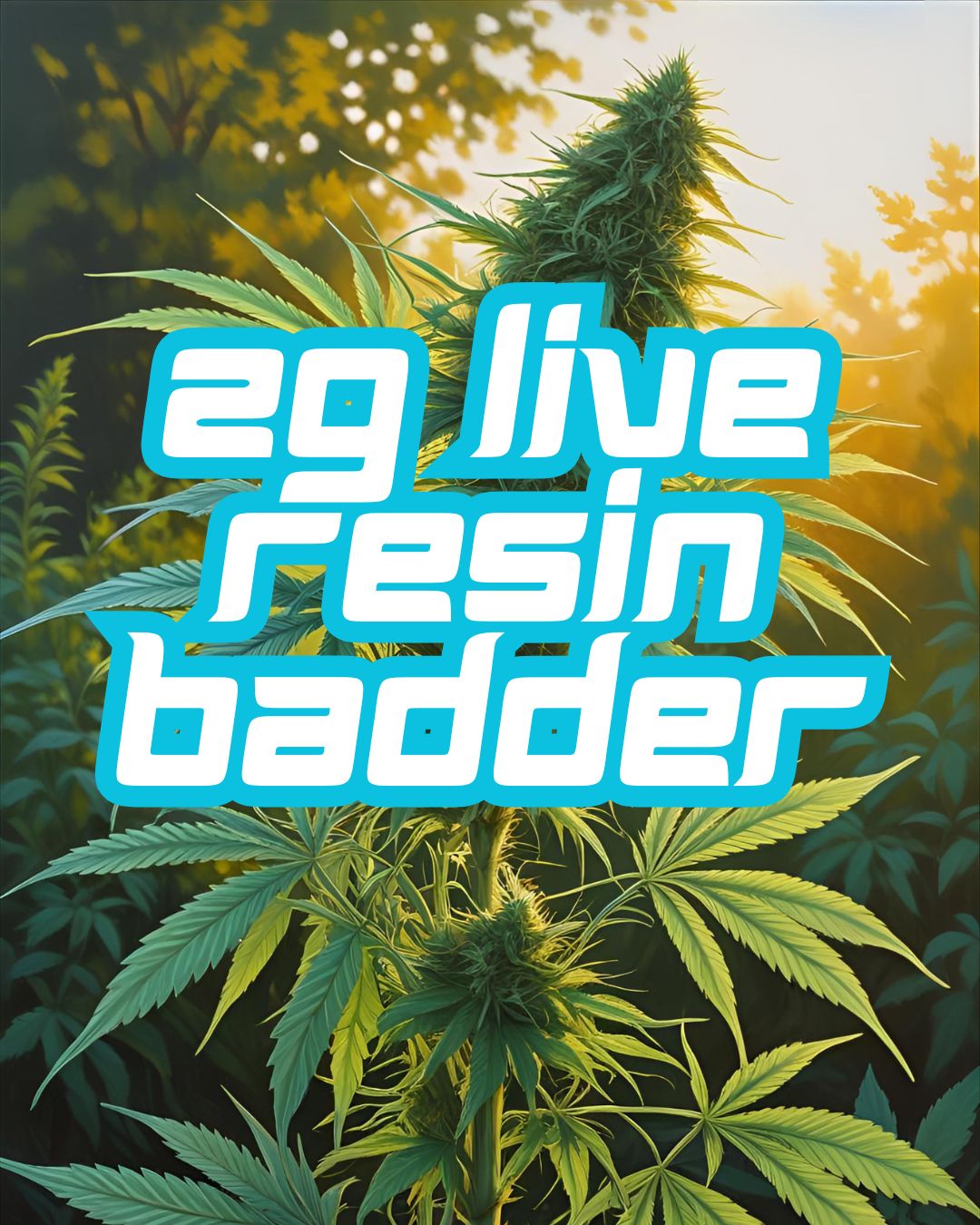 Live Resin Badder 2gram Jars