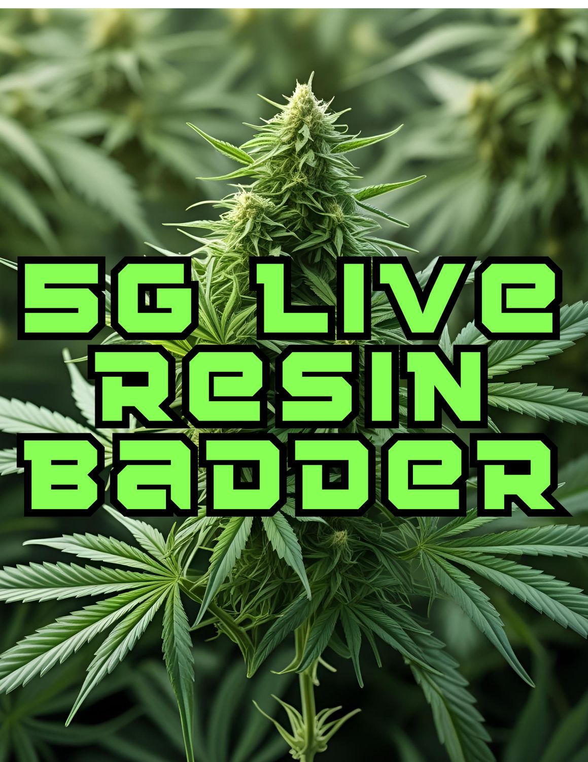 Live Resin Badder 5gram Jars