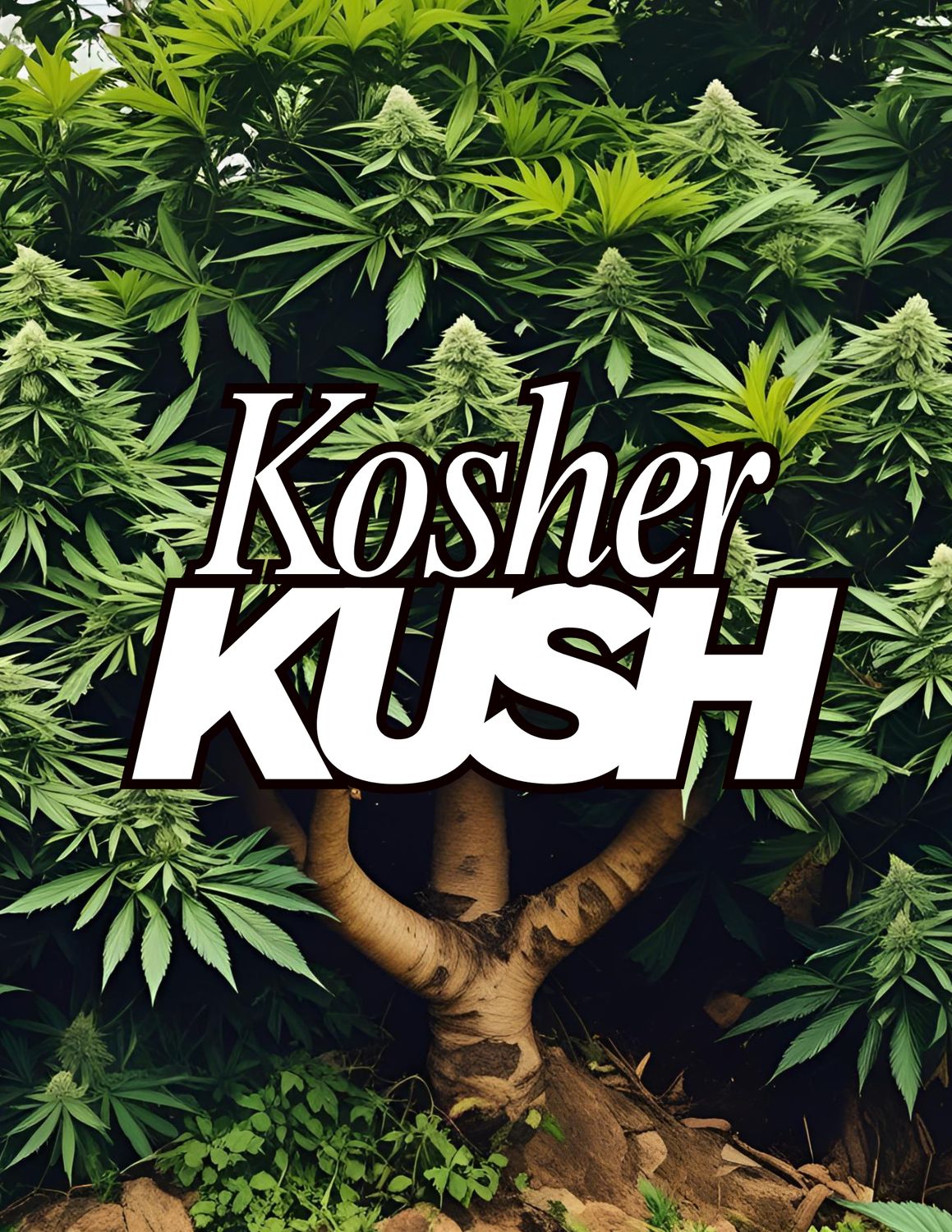 Kosher Kush - Silver | Indica |