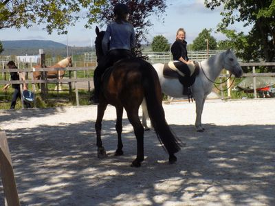 🎁 Gutschein für eine Reitstunde – Freude schenken, Verbindung erleben