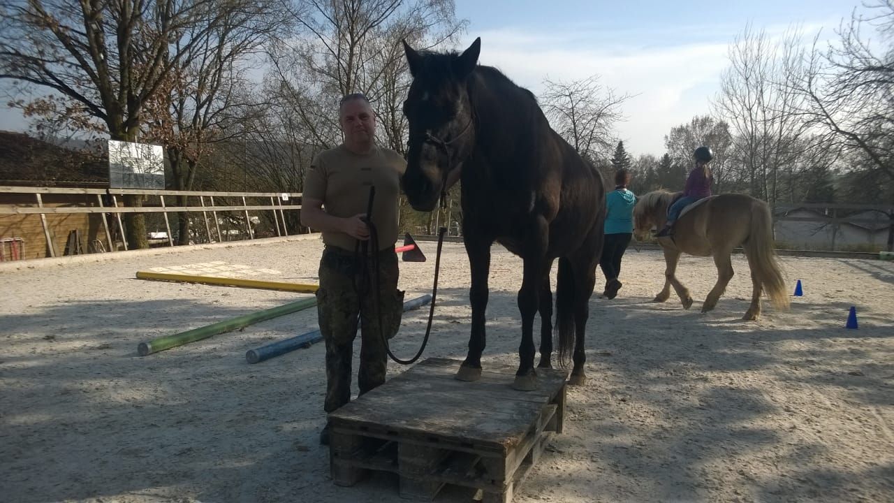 🐴 Kommunikation & Horsemanship – 1-Tages-Intensivkurs