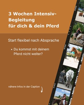3-Wochen Intensiv-Begleitung Individuelle Unterstützung für dich und dein Pferd