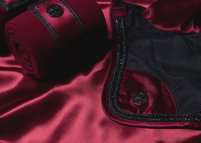 ‘The Empress’ Ruby Red Crystal Ear Bonnet
