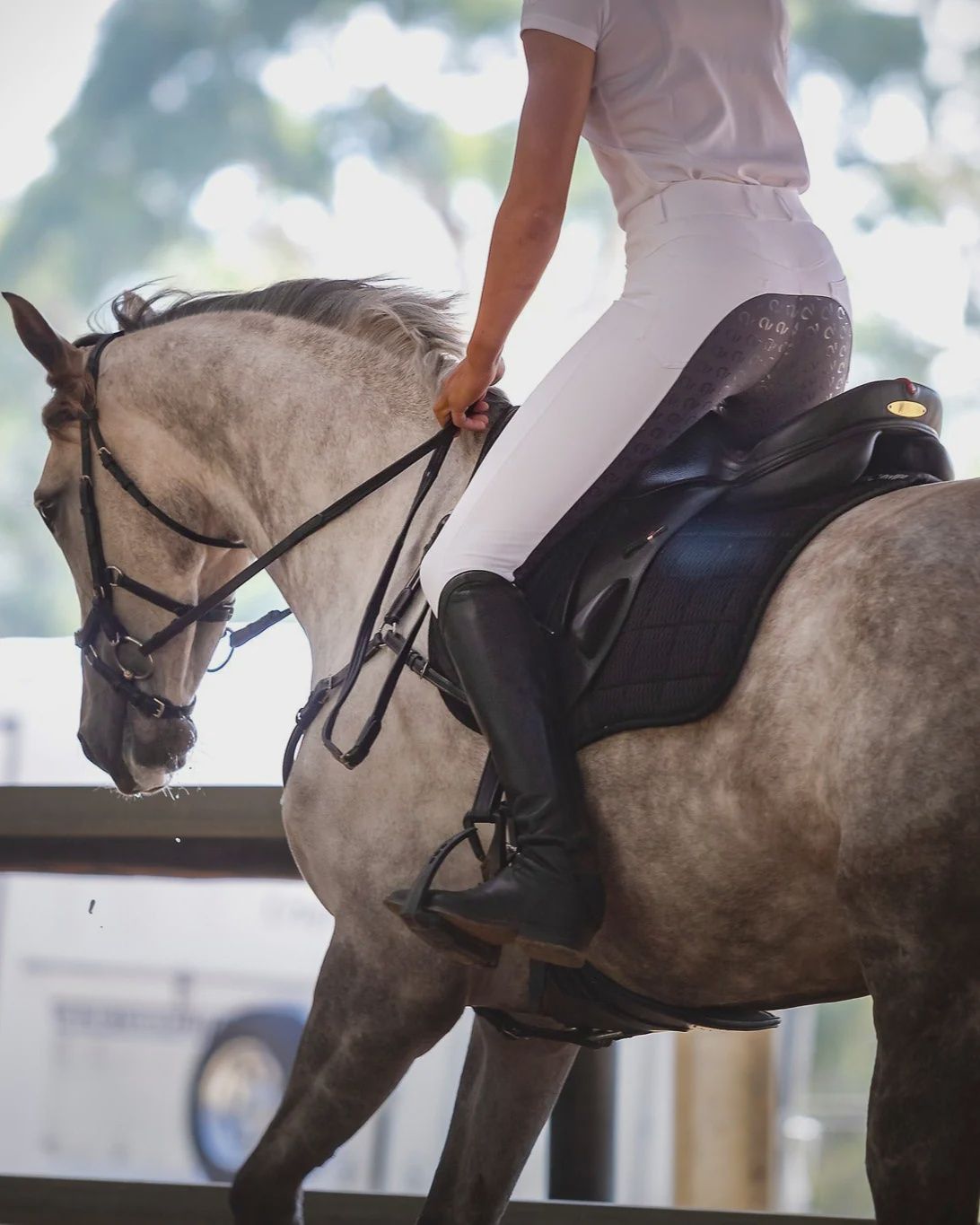 Lauren Competition Breech - White/Grey Seat