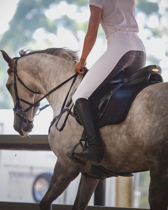 Lauren Competition Breech - White/Grey Seat