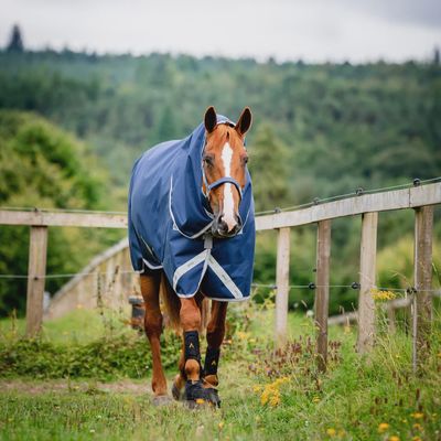 Amigo 1200D Plus Turnout 100g