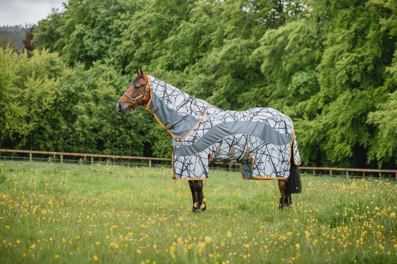 Amigo 3-in-1 CamoFly