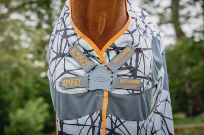 Amigo 3-in-1 CamoFly