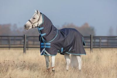 Amigo Bravo 12 Pony Plus Medium