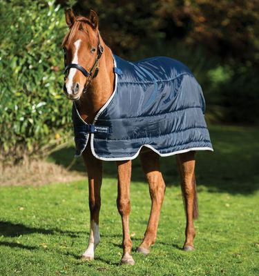 Pony Liner 100g  Navy