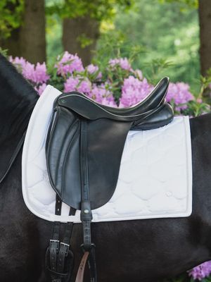 Dressage Pad Signature, White w/ White Trim