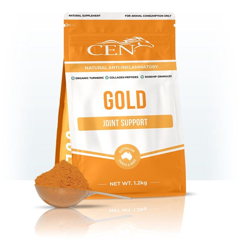 CEN Gold 1.2kg