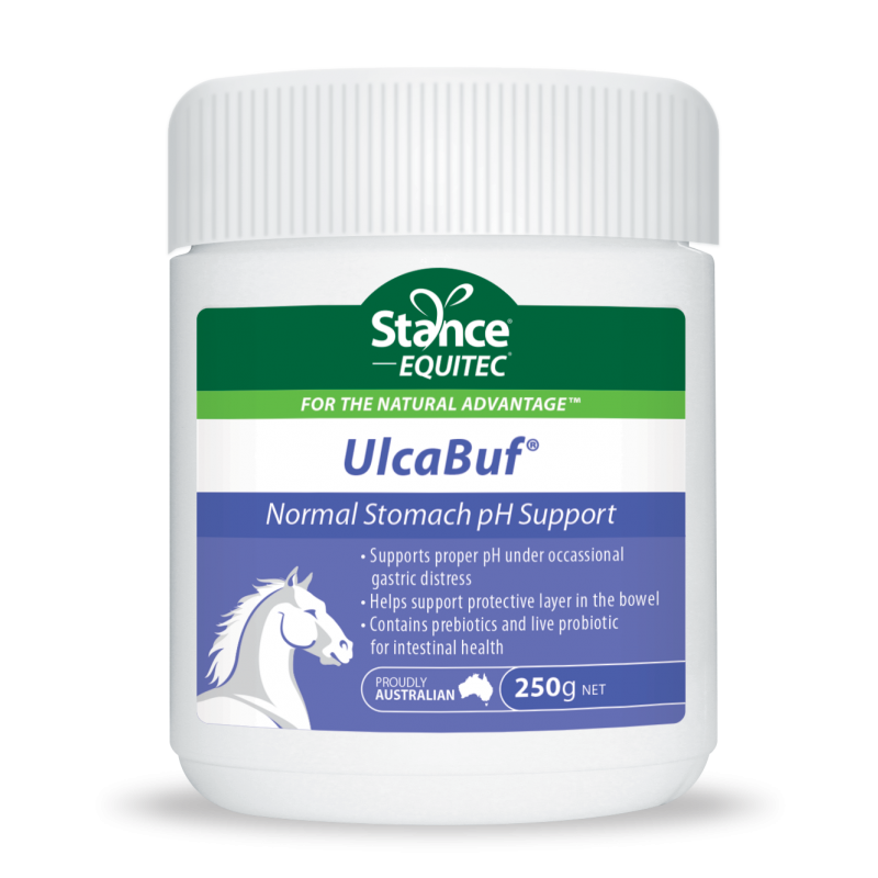 Stance Equitec Ulca Buf 2kg