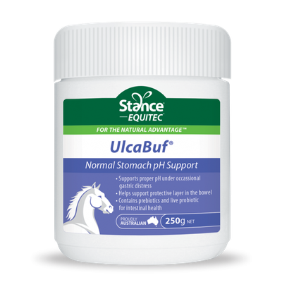 Stance Equitec Ulca Buf 2kg