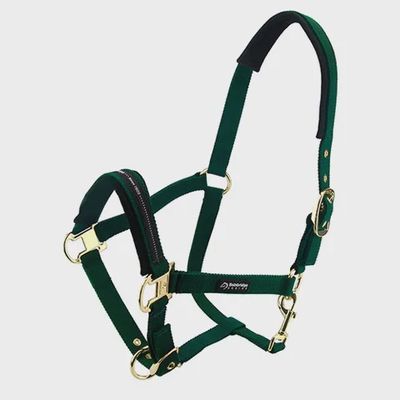 Bainbridge Halter