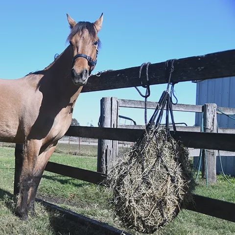 Hay Net Rope Heavy Duty
