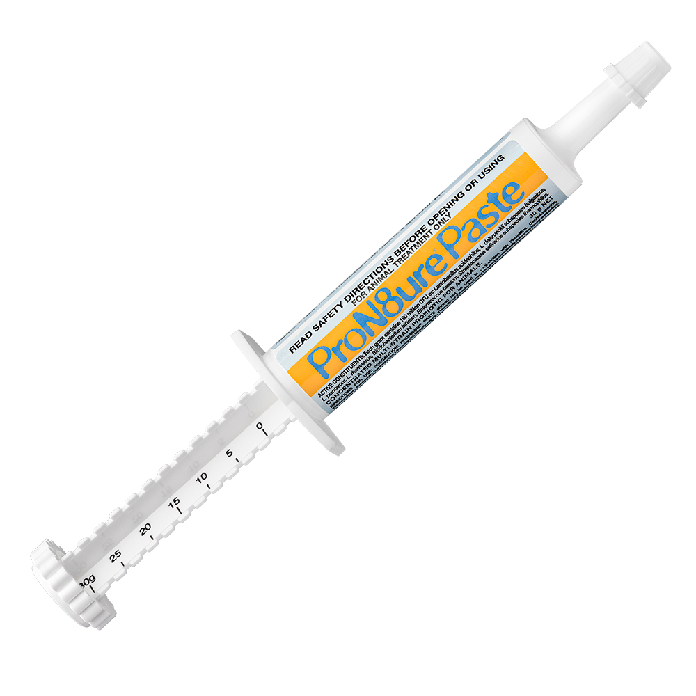 IAH ProN8ure Paste 30gm