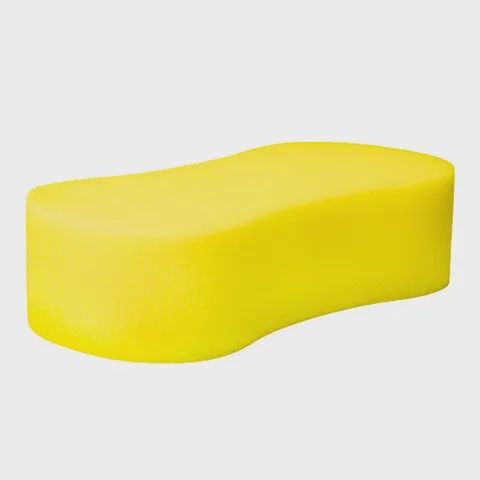 Sponge