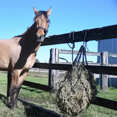Hay Nets/Feeders