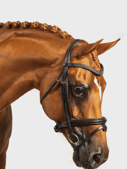 Premium Havana Snaffle Bridle &#39;Allure&#39;