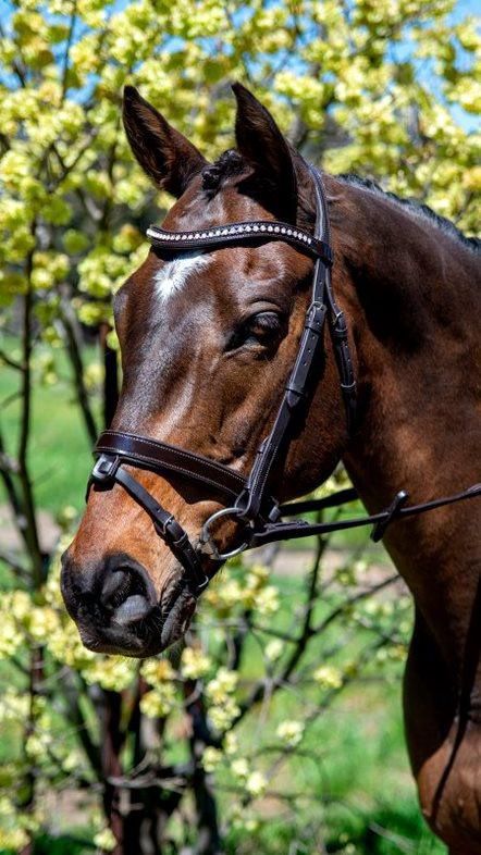 Patent Mid Thin Crystal Wave Snaffle Bridle