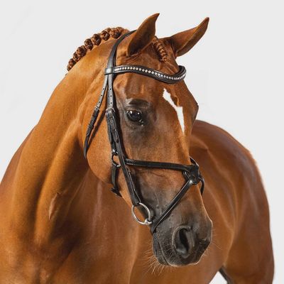 Premium Black Snaffle Bridle &#39;Radiance&#39;