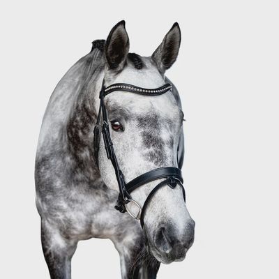 Premium Black Snaffle Bridle &#39;Breeze&#39;