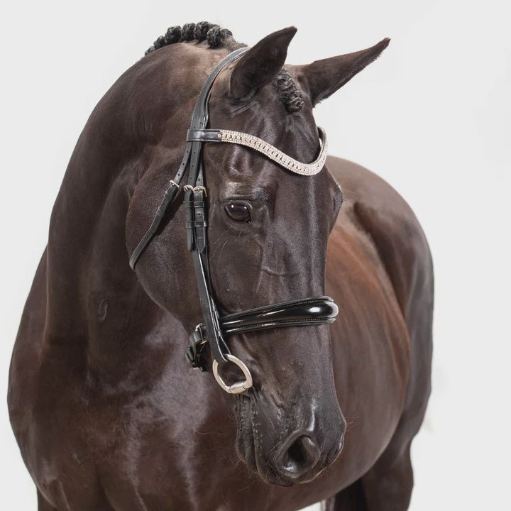 Premium Black Snaffle Bridle &#39;Explorer&#39;