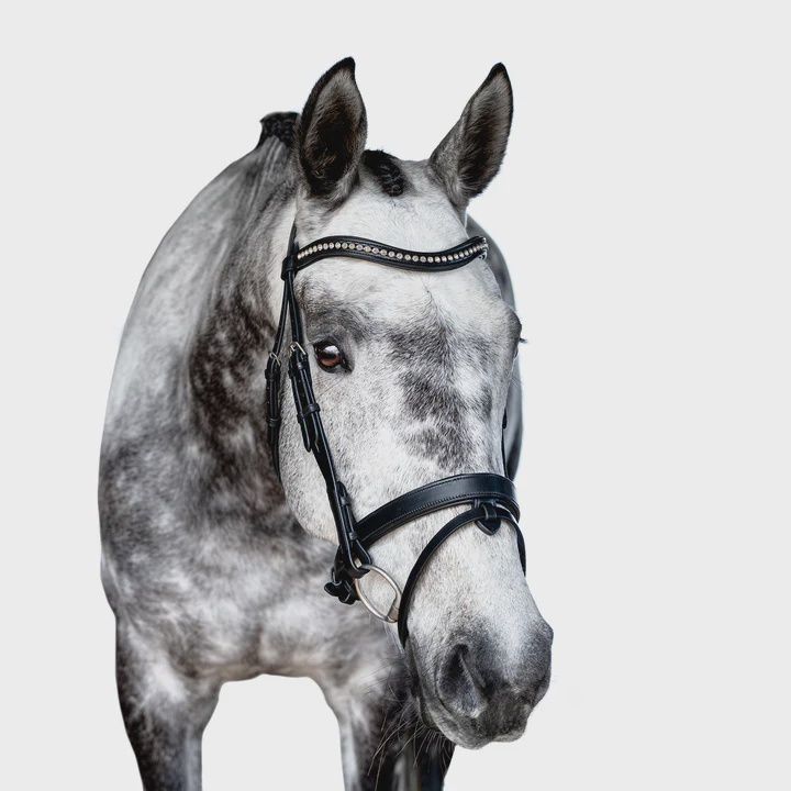 Premium Black Snaffle Bridle &#39;Breeze&#39;