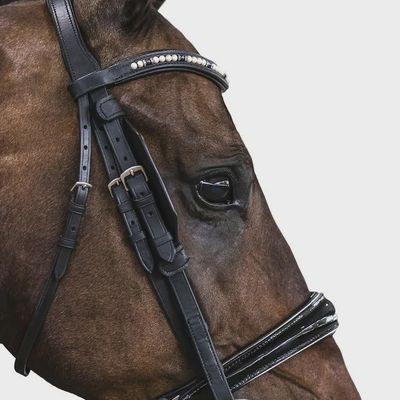 Blinkers
