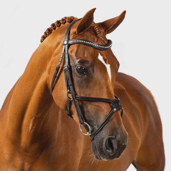 Premium Havana Snaffle Bridle &#39;Arcadia&#39;