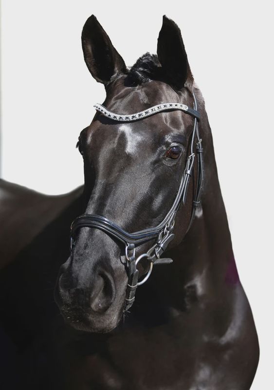 Premium Black Comfort Bridle &#39;Star&#39;