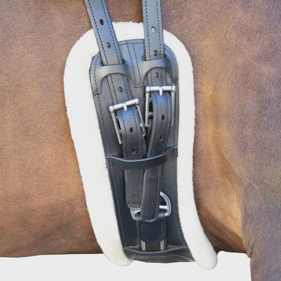 Anatomical Soft Padded Elastic Dressage Girth