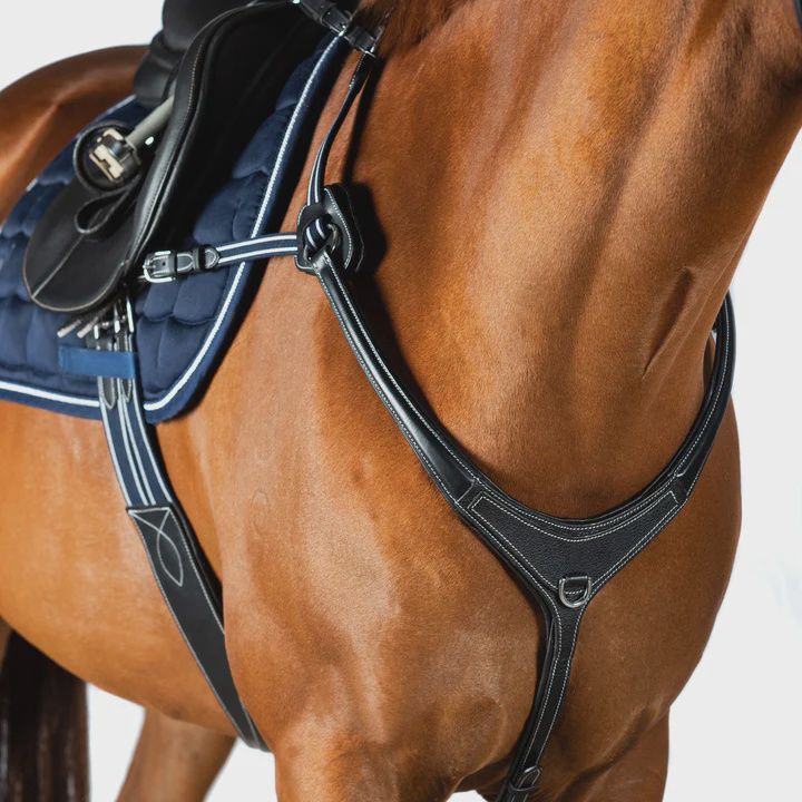 AR 5 Point Leather Breastplate