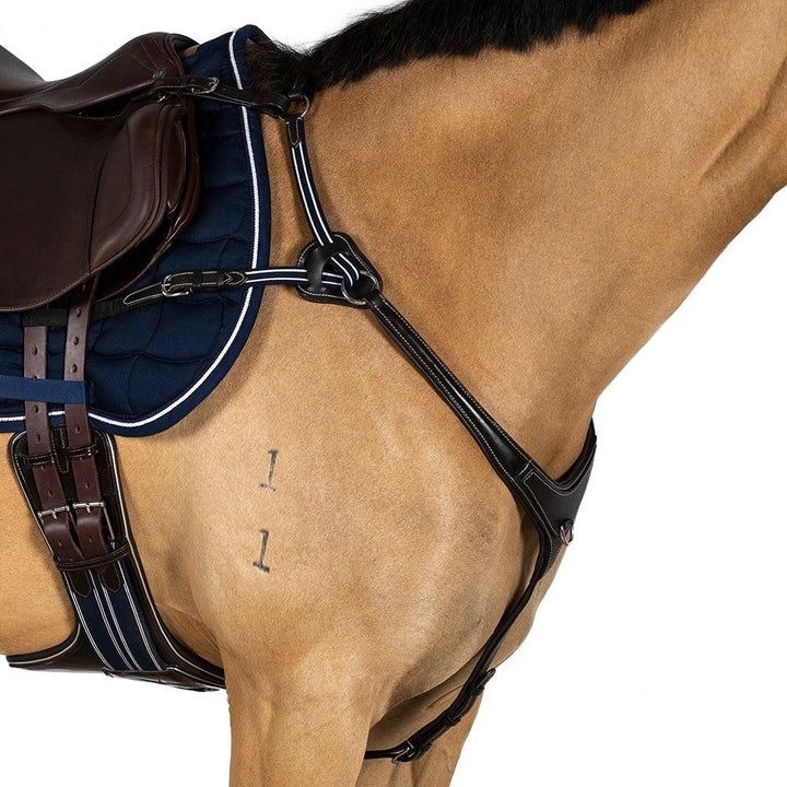 AR 5 Point Leather Breastplate, Size: Full, Colour: Black