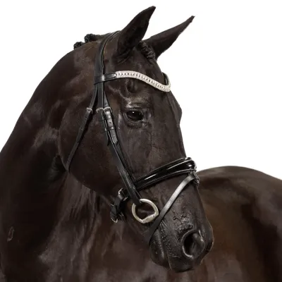 Snaffle Bridles