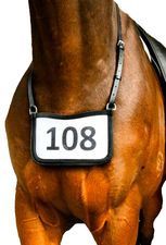 Leather Number Holder
