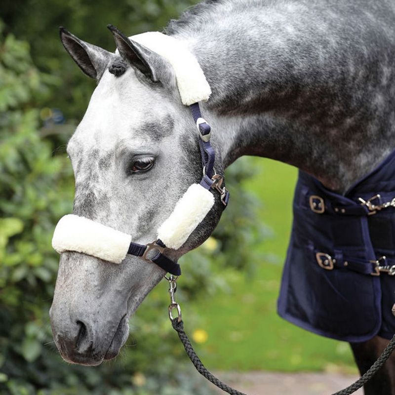 Halter Cover Set Fleece