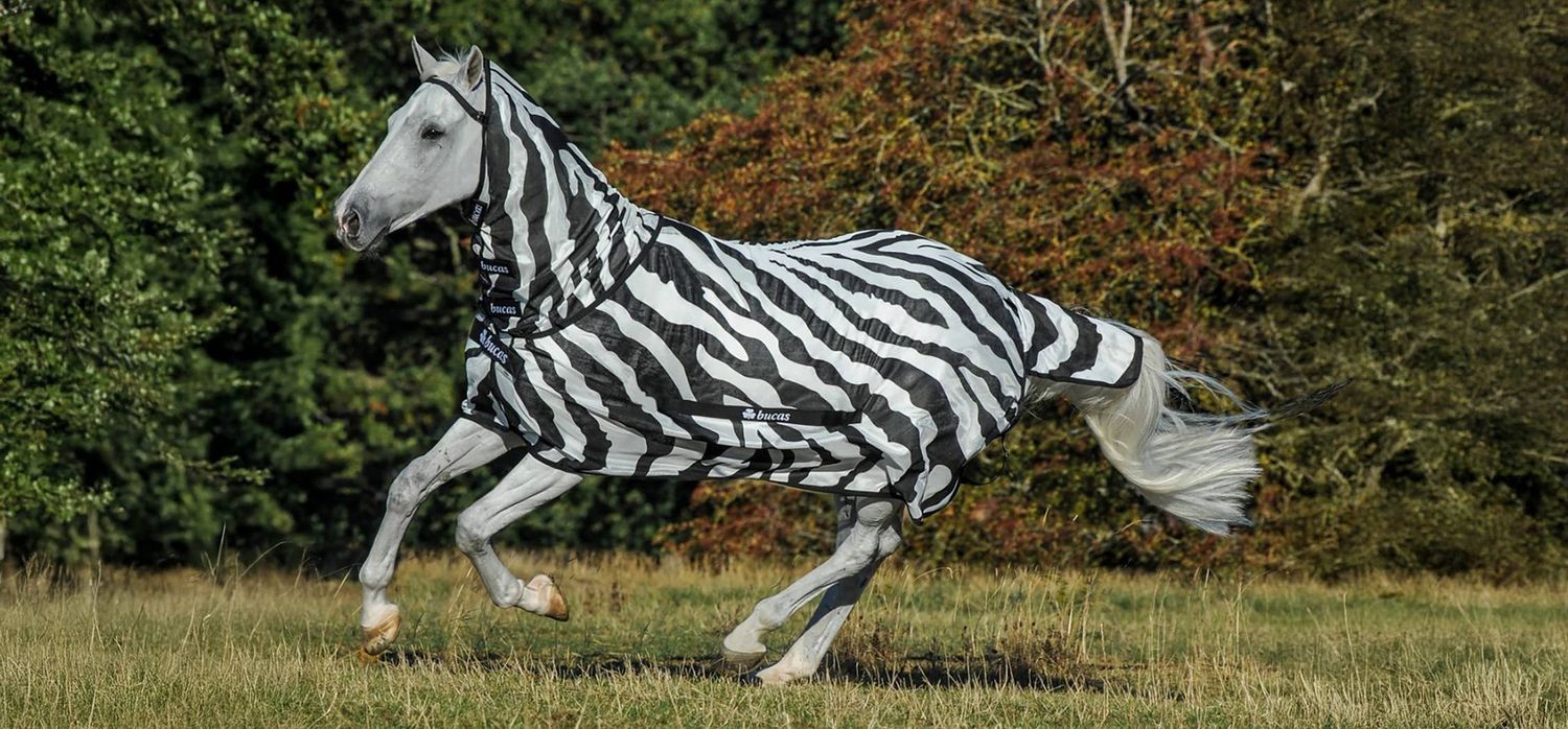 Bucas Rug BuzzOff Full Neck Zebra