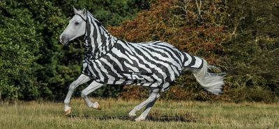 Bucas Rug BuzzOff Full Neck Zebra