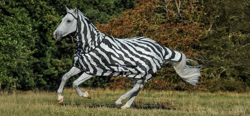 Bucas Rug BuzzOff Full Neck Zebra