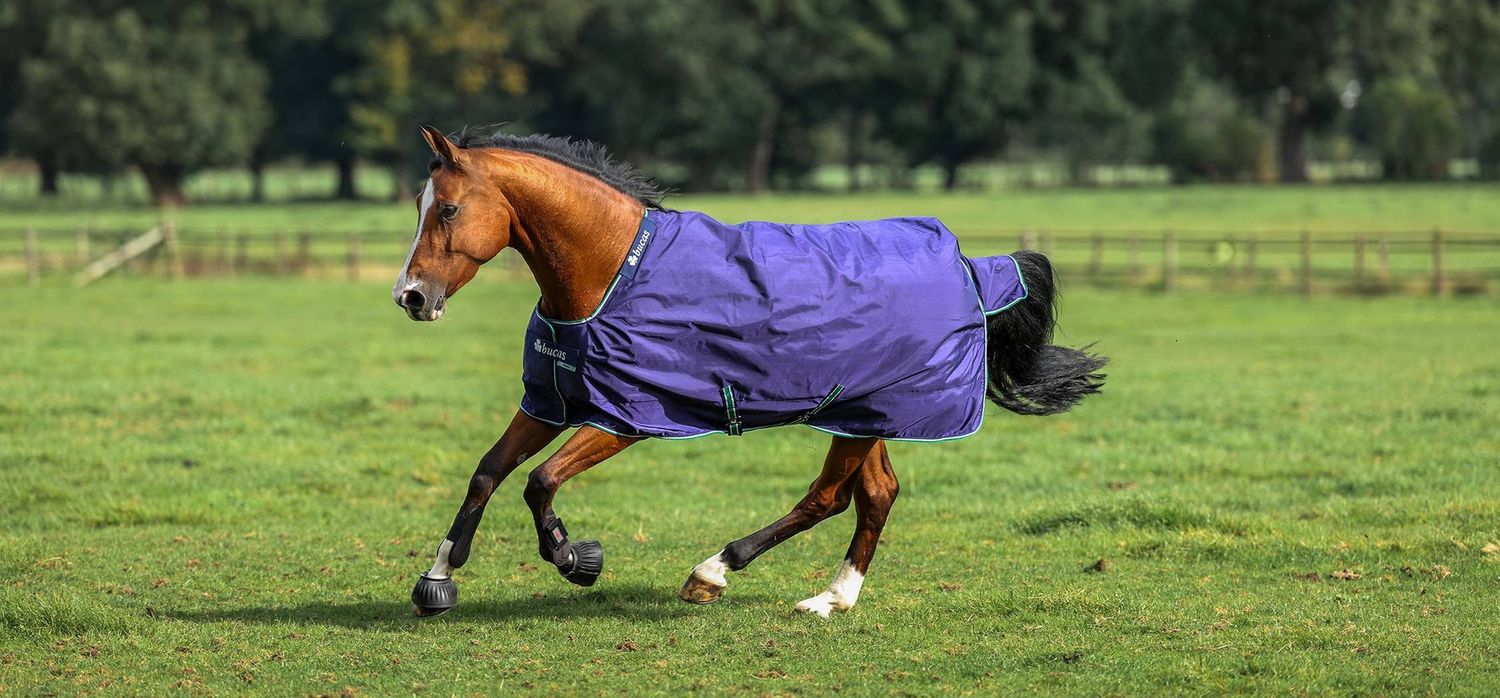 Bucas Rug Smartex Turnout Blue 0g