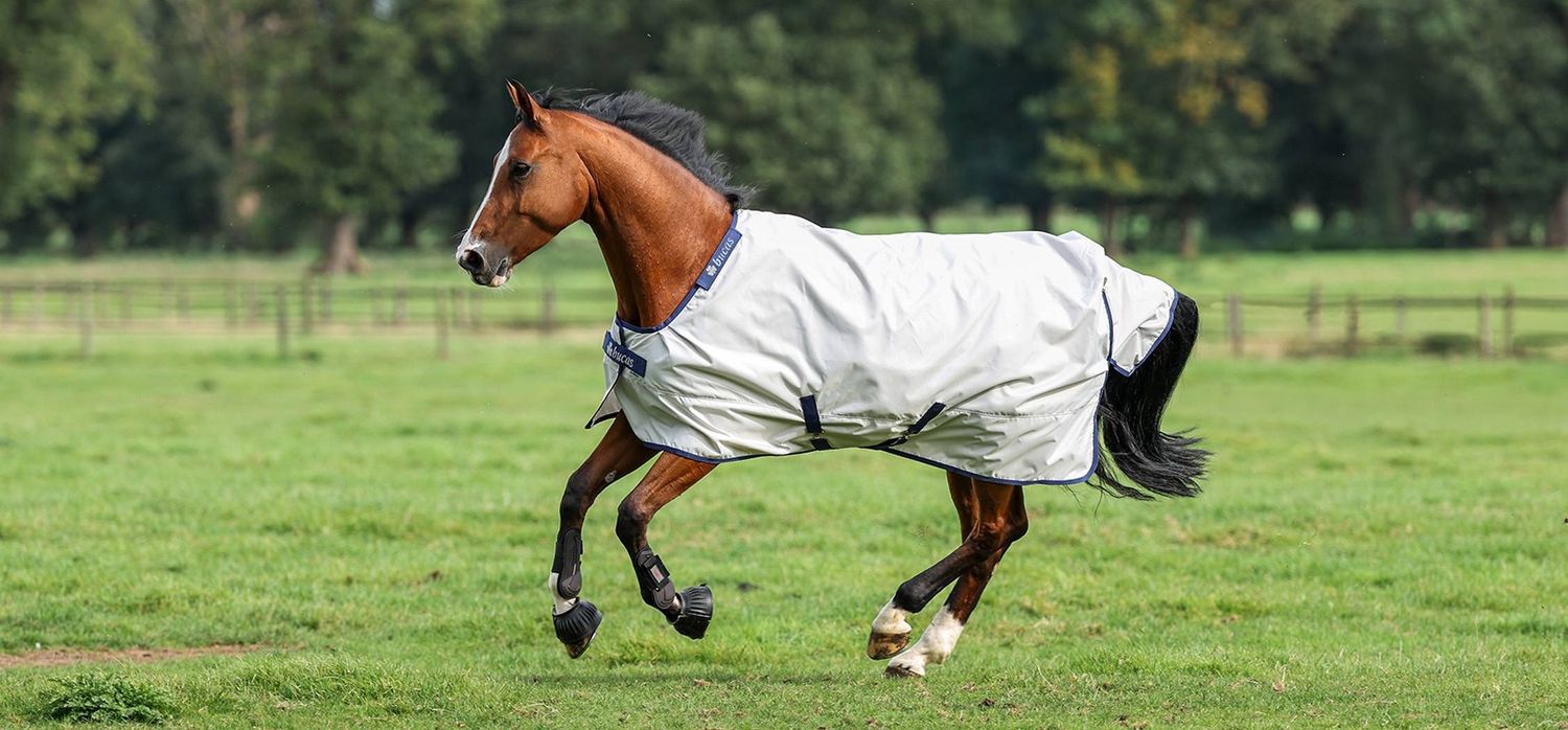 Bucas Rug Sun-Shower Turnout