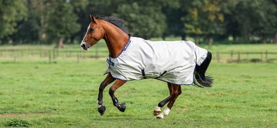 Bucas Rug Sun-Shower Turnout