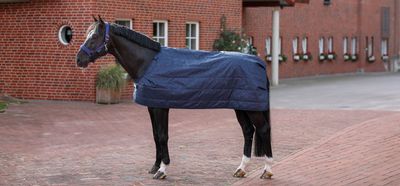 Bucas Rug Liner 100g