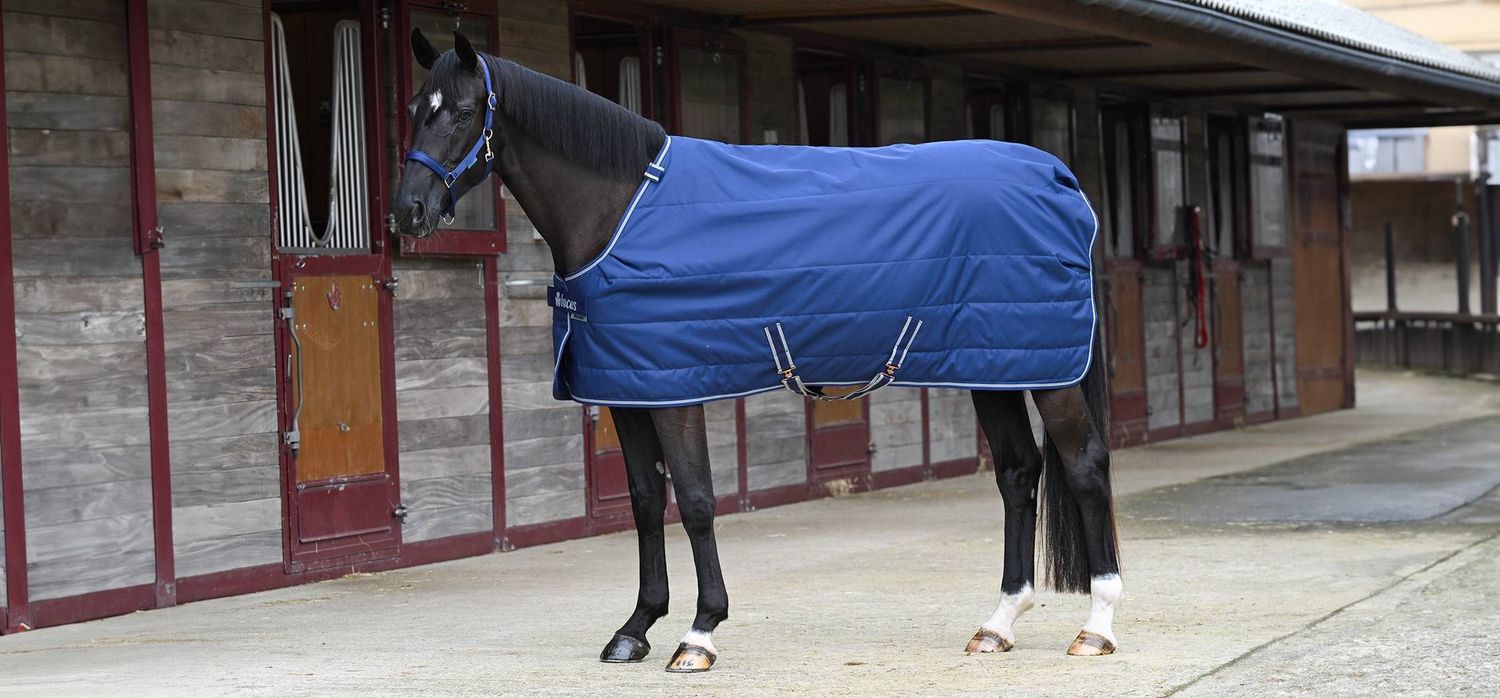 Bucas Rug Quilt Stay Dry 150g